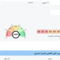 رهنمایی وام گیرنده رتبه D