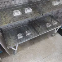 قفس هشت خان