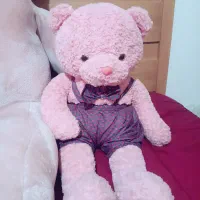 خرس پولیشی ۳سایز|اسباببازی|دامغان, |دیوار