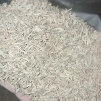 زیره سبز دیمی|عمده‌فروشی|شراء, |دیوار