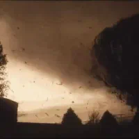 یک تکه طلا پیدا شده