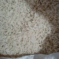 پیش فروش برنج طارم علی کاظمی