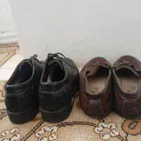 کفش چرم اصل