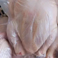 مرغ ارگانیک ماشینی