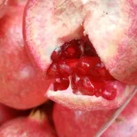 انار دونه قرمز درجه یک|خوردنی و آشامیدنی|شیراز, شریف‌آباد|دیوار