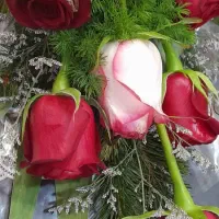 انگشتر طلا گم کردم