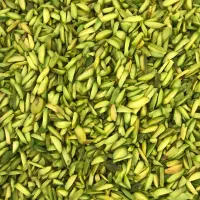 خلال پسته و خلال بادام درختی