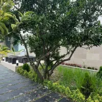 ویلا استخردار مینیمال//شهرکی با نگهبان|فروش خانه و ویلا|هچیرود, |دیوار