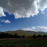 فروش باغ و زمین زراعی