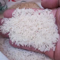 برنج هاشمی ممتاز گیلان|خوردنی و آشامیدنی|تهران, نظام‌آباد|دیوار