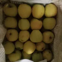 سیب|خوردنی و آشامیدنی|جلفا, |دیوار