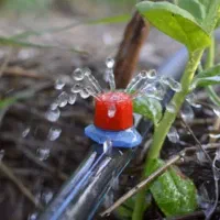 آبیاری قطره ای بارانی|خدمات باغبانی و درختکاری|ارومیه, |دیوار