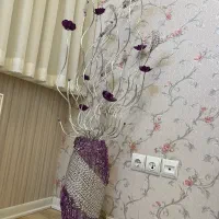 اباژور سالنی