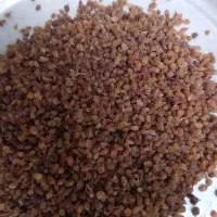 کشمش