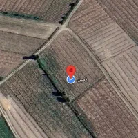 زمین حاصلخیز کشاورزی مابین ویشلق علیا و کردشین|فروش دفتر صنعتی، کشاورزی، تجاری|ایواوغلی, |دیوار