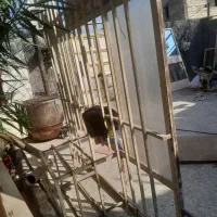 در و پنجره|مصالح و تجهیزات ساختمان|اهواز, زوویه ۲|دیوار