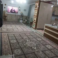 فرش|فرش|زاهدان, |دیوار