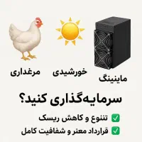 مشارکت در مرغداری و احداث نیروگاه خورشیدی و ماینر