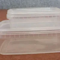 ظرف ماکروفری