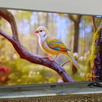 تلویزیون صنام باتصویر روشن ۵۵ اینچ سالم|تلویزیون و پروژکتور|همدان, |دیوار