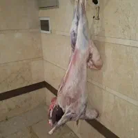 قصاب سیار