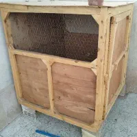 گنجه کفتر،مرغ و خروس
