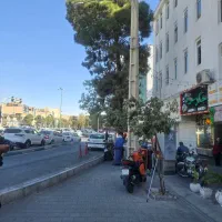 ۱۰۳ متر بر اصلی فلکه دوم تهرانپارس / موقعیت اداری|فروش دفتر کار، اتاق اداری، مطب|تهران, تهرانپارس غربی|دیوار