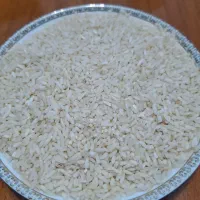 برنج هاشمی (لاشه) محصول تازه