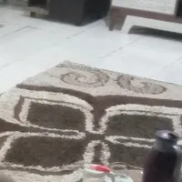 قالی پرز بلند