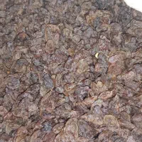 کشمش پولویی|خوردنی و آشامیدنی|شاهینشهر, شهرک گلدیس|دیوار