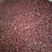 فروش لوبیا قرمز و چیتی و سفید درجه یک|عمده‌فروشی|خانمیرزا, |دیوار