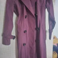 بارونی بادمجونی