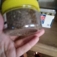 پاور بانک