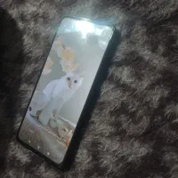 ردمی 13|موبایل|ارومیه, |دیوار