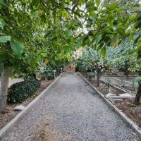 فروش-باغ-باقیمت-مناسب