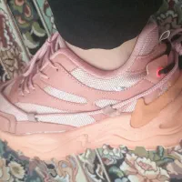 کفش|کیف، کفش، کمربند|لردگان, |دیوار