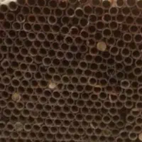 داربست فلزی نبوت وایزوگام|خدمات پیشه و مهارت|بندر کنگان, |دیوار