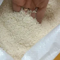 انواع برنج های معطرشمال و جنوب|خوردنی و آشامیدنی|مشهد, گاز|دیوار