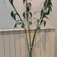 گلدان شیشه ای با گیاه مصنوعی