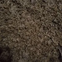 سبزی خورشتی آبپز شده،خام،سرخ شده