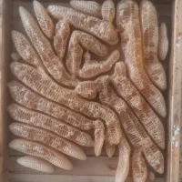 عسل