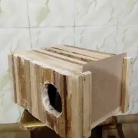 لوونه