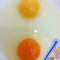 تخم مرغ زرده طلایی کیفیت Aسوپرلوکس،شیرینگ پک ۳۰و۱۵