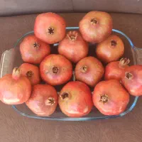 میوه