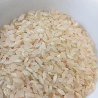 برنج کامفیروزی