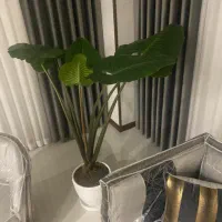 دکور پرده|پرده، رانر، رومیزی|کرج, کوی مهر|دیوار