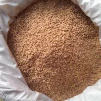 گندم سبلان بوجاری شده و سم شده