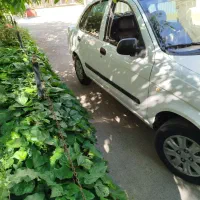 تیبا ۱|خودرو سواری و وانت|همدان, |دیوار