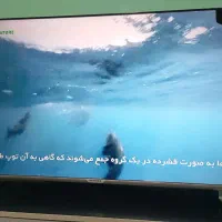 تلویزیون 50 اینچ سونیا مدل