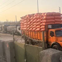 خوراک دام و طیور کاه یونجه کنسانتره ذرت جو گندم